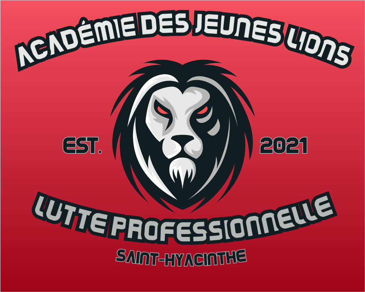 Logo académie des jeunes Lions